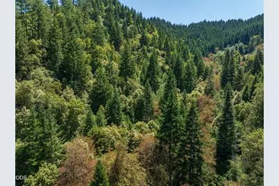 1132 Bridge Lane, Wolf Creek, OR 97497 - Photo 28