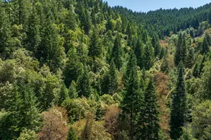 1132 Bridge Ln, Wolf Creek, OR 97497 - Photo 28