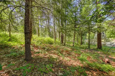 2072 E Evans Creek Road, Rogue River, OR 97537 - Photo 28