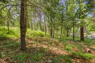 2072 E Evans Creek Rd, Rogue River, OR 97537 - Photo 28