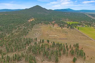48850 Sycan Rd, Beatty, OR 97621 - Photo 4