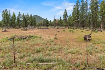 48850 Sycan Road, Beatty, OR 97621 - Photo 44