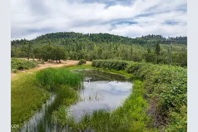 11598 Butte Falls Highway, Eagle Point, OR 97524 - Photo 4
