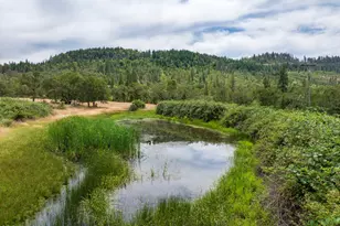 11598 Butte Falls Hwy, Eagle Point, OR 97524 - Photo 4