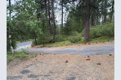 141245 Red Cone Drive, Crescent Lake, OR 97733 - Photo 54