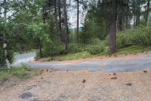 141245 Red Cone Dr, Crescent Lake, OR 97733 - Photo 54