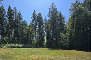 4299 Dick George Rd, Cave Junction, OR 97523 - Photo 10