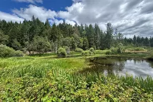 5345 West Side Rd, Cave Junction, OR 97523 - Photo 1