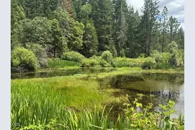 5345 Westside Road, Cave Junction, OR 97523 - Photo 2