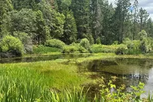 5345 West Side Rd, Cave Junction, OR 97523 - Photo 2
