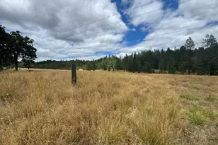 5345 West Side Rd, Cave Junction, OR 97523 - Photo 24