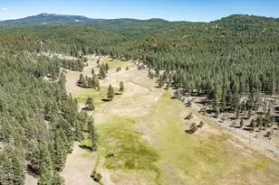 29001 NE Duncan Creek, Prineville, OR 97754 - Photo 48