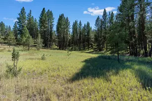 29001 NE Duncan Creek, Prineville, OR 97754 - Photo 36