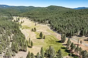 29001 NE Duncan Creek, Prineville, OR 97754 - Photo 42