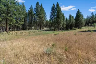 29001 NE Duncan Creek, Prineville, OR 97754 - Photo 32