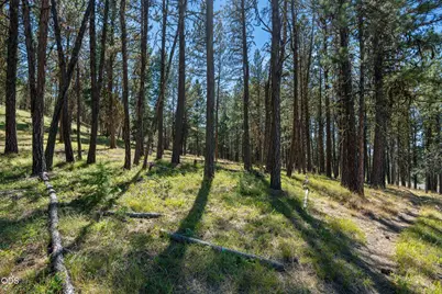 29001 NE Duncan Creek, Prineville, OR 97754 - Photo 30