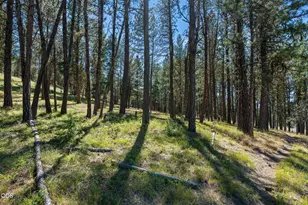 29001 NE Duncan Creek, Prineville, OR 97754 - Photo 30