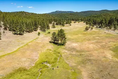 29001 NE Duncan Creek, Prineville, OR 97754 - Photo 52