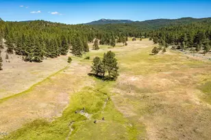 29001 NE Duncan Creek, Prineville, OR 97754 - Photo 52