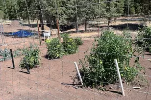 15780 Homestead Ln, Klamath Falls, OR 97601 - Photo 44