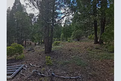 31276 Seal Lane, Bonanza, OR 97623 - Photo 38