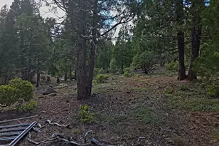 31276 Seal Ln, Bonanza, OR 97623 - Photo 38
