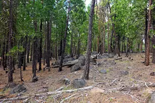 31276 Seal Ln, Bonanza, OR 97623 - Photo 42