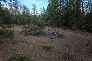 31276 Seal Ln, Bonanza, OR 97623 - Photo 44