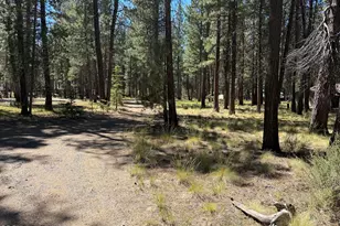 16160 Mountain Sheep Ln, Bend, OR 97707 - Photo 30
