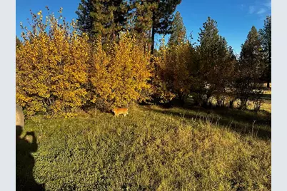6310 Happy Hollow Lane, Bonanza, OR 97623 - Photo 56