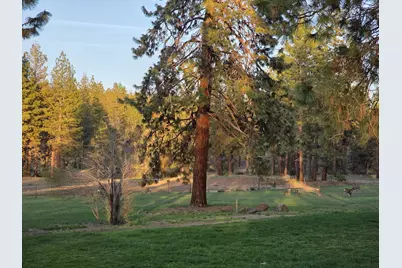 6310 Happy Hollow Lane, Bonanza, OR 97623 - Photo 64