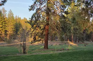 6310 Happy Hollow Ln, Bonanza, OR 97623 - Photo 64