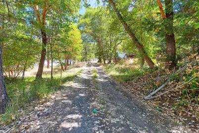 705 Murphy Gulch Road, Rogue River, OR 97537 - Photo 46