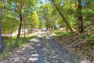 705 Murphy Gulch Rd, Rogue River, OR 97537 - Photo 46