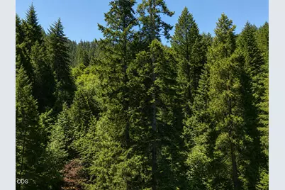 3727 Coyote Creek Road, Wolf Creek, OR 97497 - Photo 28