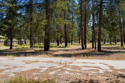 52525 River Pine Road, La Pine, OR 97739 - Photo 12