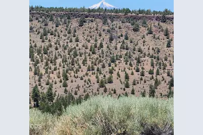 5144 SW Upper Canyon Rim, Culver, OR 97734 - Photo 10
