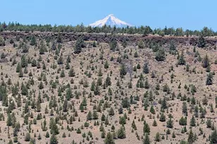 5144 SW Upper Canyon Rim, Culver, OR 97734 - Photo 10