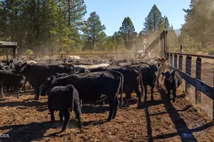 300 Road 49 Silverlake Hwy, Chiloquin, OR 97624 - Photo 60
