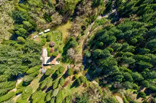 1293 Starveout Creek Rd, Azalea, OR 97410 - Photo 48