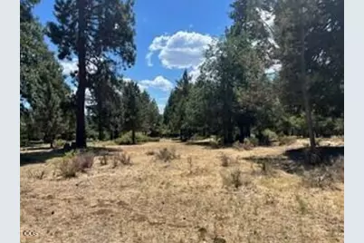 0 Rock Dove Court #Lot 229, Klamath Falls, OR 97601 - Photo 2