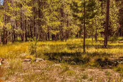 55471 Jamie Way, Bend, OR 97707 - Photo 2