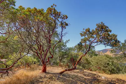 6790 Highway 66, Ashland, OR 97520 - Photo 76