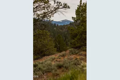 1116 Vine Maple Drive, Klamath Falls, OR 97601 - Photo 4
