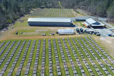 3160 Rockydale Road, Cave Junction, OR 97523 - Photo 54