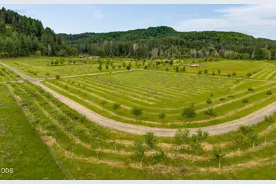 24218 Vaughn Road, Veneta, OR 97487 - Photo 10