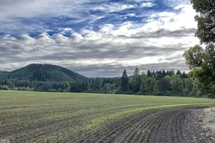 24218 Vaughn Rd, Veneta, OR 97487 - Photo 34