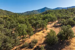 2659 Foots Creek L Fork Rd, Gold Hill, OR 97525 - Photo 14