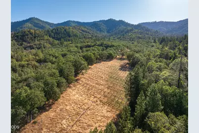 2659 Foots Creek L Fork Road, Gold Hill, OR 97525 - Photo 10