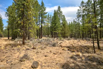 19493 Buck Canyon Road, Bend, OR 97702 - Photo 24